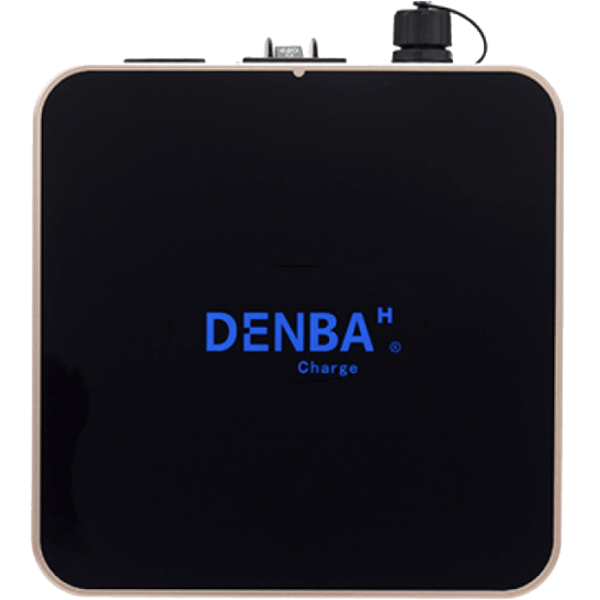 DENBA Health Charge